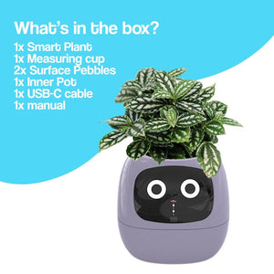 AI GrowBuddy Smart Plant Care System Ivy with expressive face and sensors for interactive plant care and STEM learning