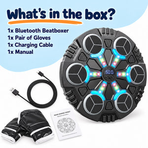 Bluetooth BeatBoxer Wall Trainer