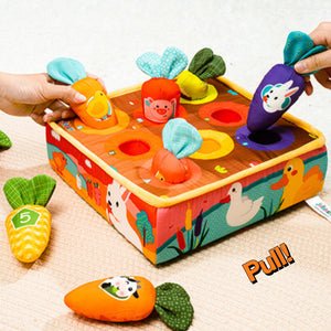 Carrots Magic & Animal Tails Sensory Kit