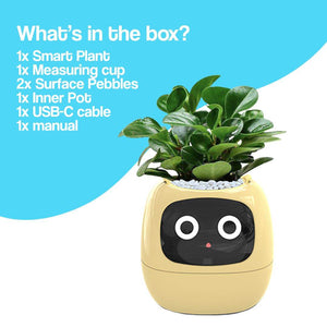 Meet Ivy - AI GrowBuddy Smart Plant Care System